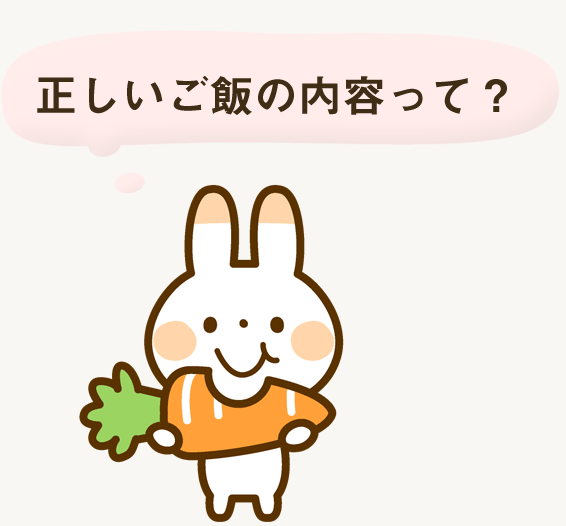 正しいご飯の内容って？